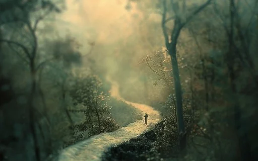 walk_the_path