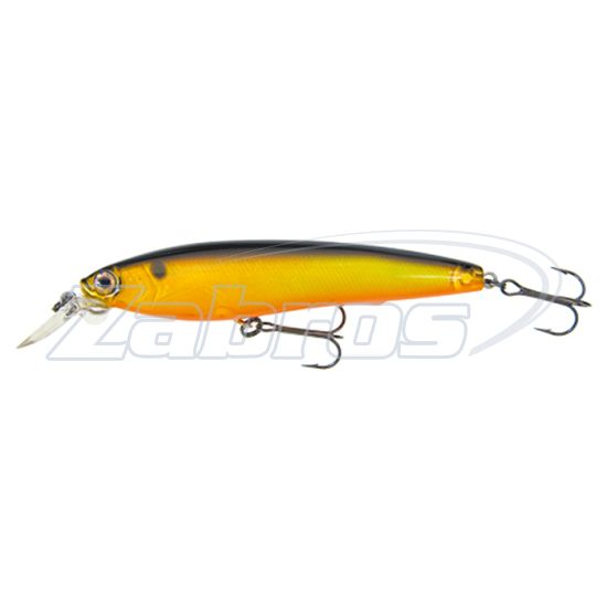 Duel / Yo-Zuri 3D Minnow, R725