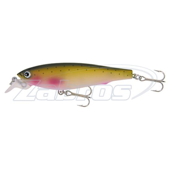 Duel / Yo-Zuri 3D Minnow, R725 — Воблер Yo-Zuri 3D Minnow 100SP, 10 см, 17 г, 1,8 м, R725-NWRT