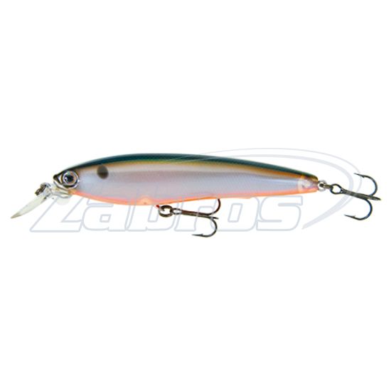 Duel / Yo-Zuri 3D Minnow, R725 — Воблер Yo-Zuri 3D Minnow 100SP, 10 см, 17 г, 1,8 м, R725-PTS
