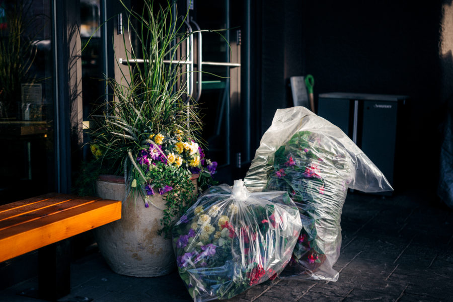 Photograph of a street scene with flowers and plants in a large planter, with two plastic bags filled with more flowers and plants to the right