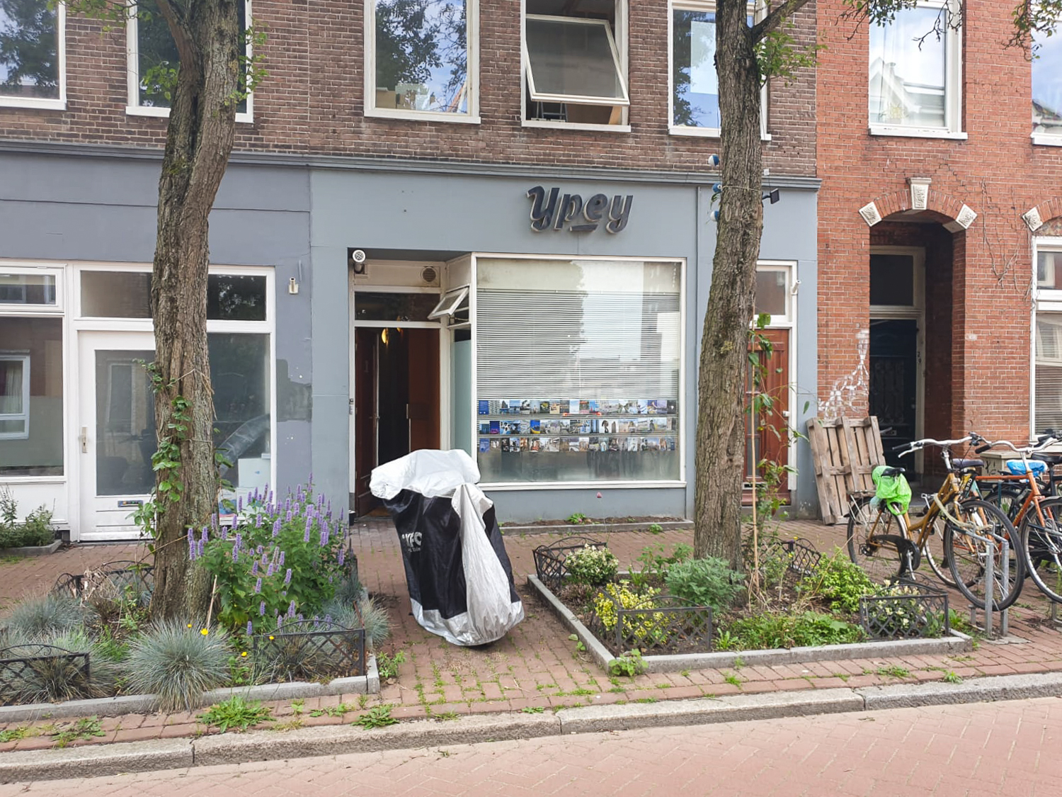 Exhibition of postcards displayed in a large window on a street in Groningen, The Netherlands, with 'a sign reading 'Ypey' above, trees and plants in the pathway in front.