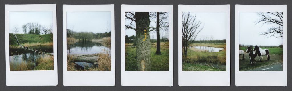 5 instax polaroids with landscape green and one bridge through water