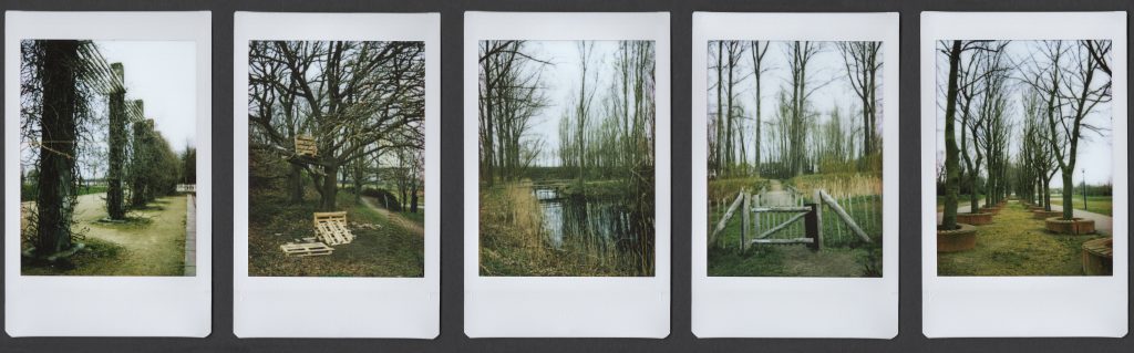 5 instax polaroids with landscape park