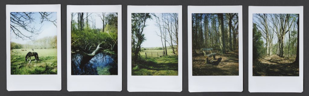 5 instax polaroids with landscapes fields