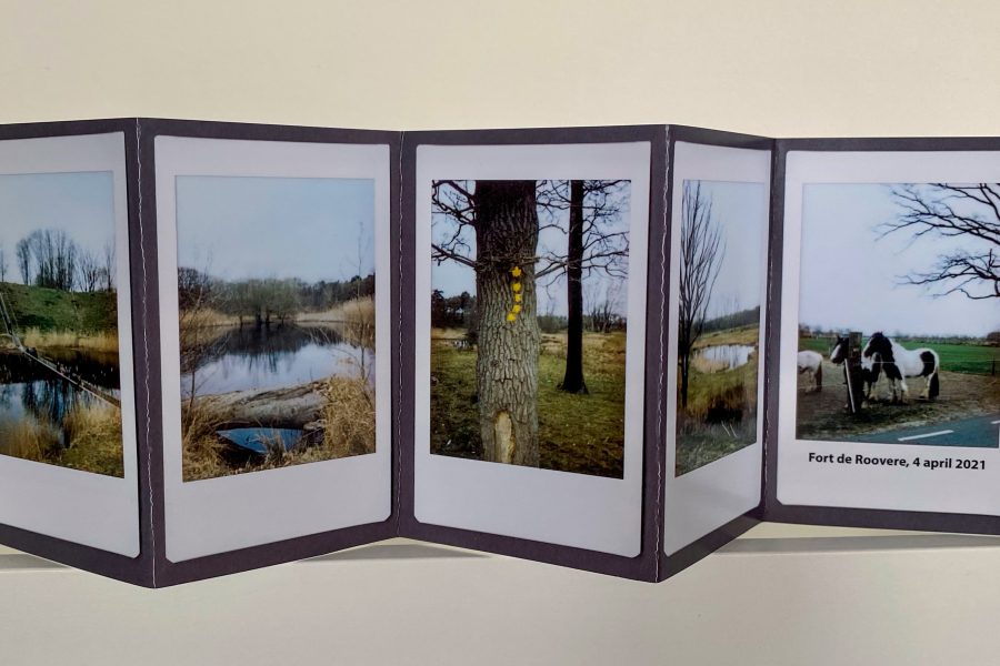 5 images printed and displayed on a gray cardboard back drop
