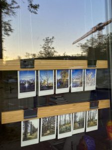 10 photos printed and displayed in a window