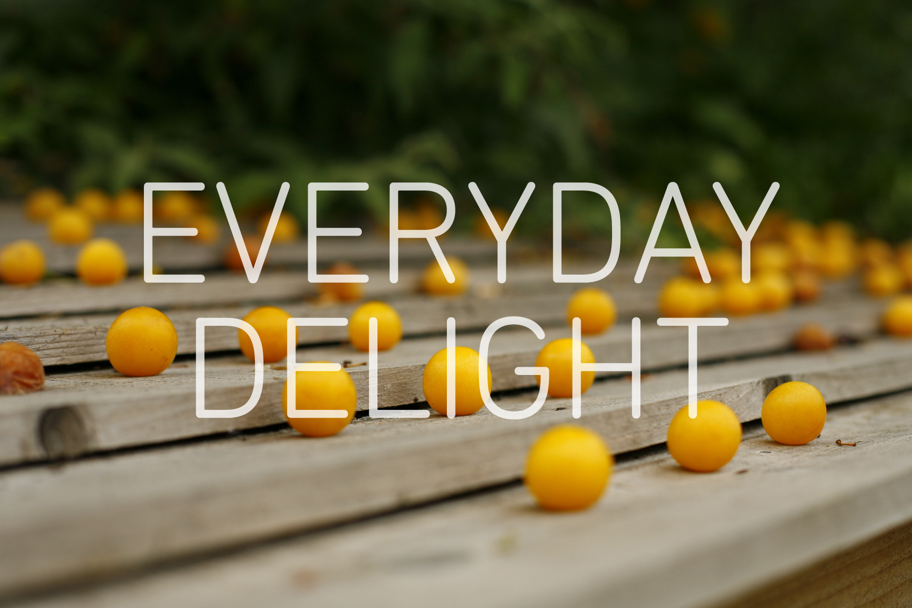 Graphic with 'EVERYDAY DELIGHT' in white text in the centre, with a photograph in the background of yellow fruit across a wooden surface, and foliage in the background.