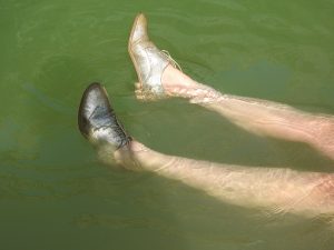 Photograph of legs with worn gold shoes floating in greenish water