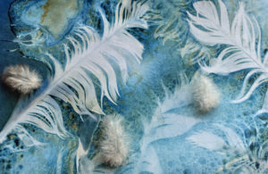 Cyanotype with feathers