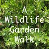 A Wildlife Garden Walk