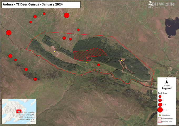 Ardura - TI Deer Census - 4th January 2024