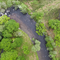 Ardura Forest MICT