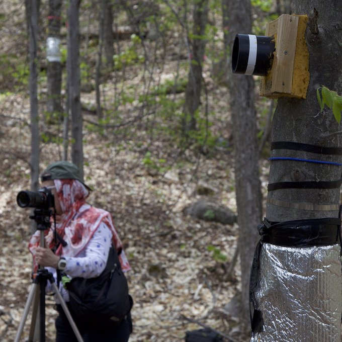 Documenting Smartforests Canada practices in the field