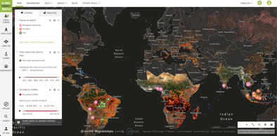 Global Forest Watch header
