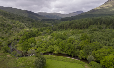 Ardura Community Forest: A Restoration Project