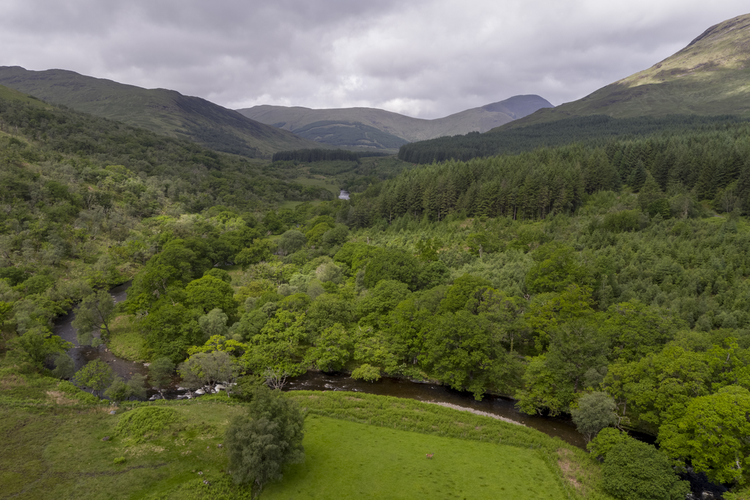 Ardura Community Forest