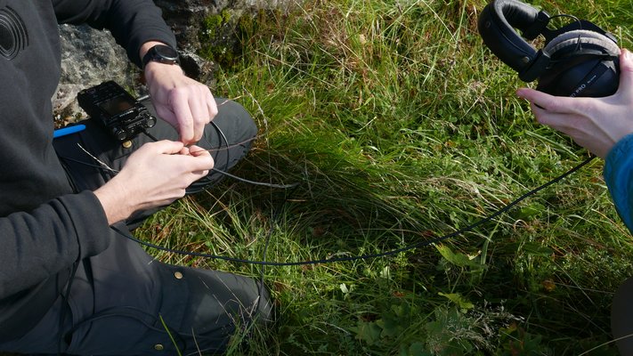 Turning moss into an antenna for detecting electromagnetic frequency. A sensing toolkit developed by Robin Everett, 2023.