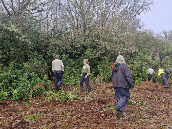 Lever and Mulch Training