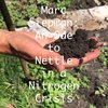 Marc Siepman_ An Ode to Nettle in a Nitrogen Crisis