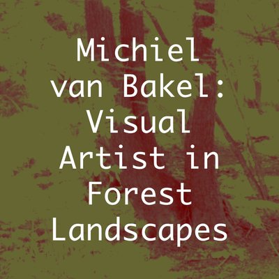 Michiel van Bakel: Artista plástico em paisagens florestais