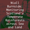 Niall Burnside: Pemantauan Hutan Hujan Beriklim Sedang di Skotlandia Melintasi Laut dan Daratan