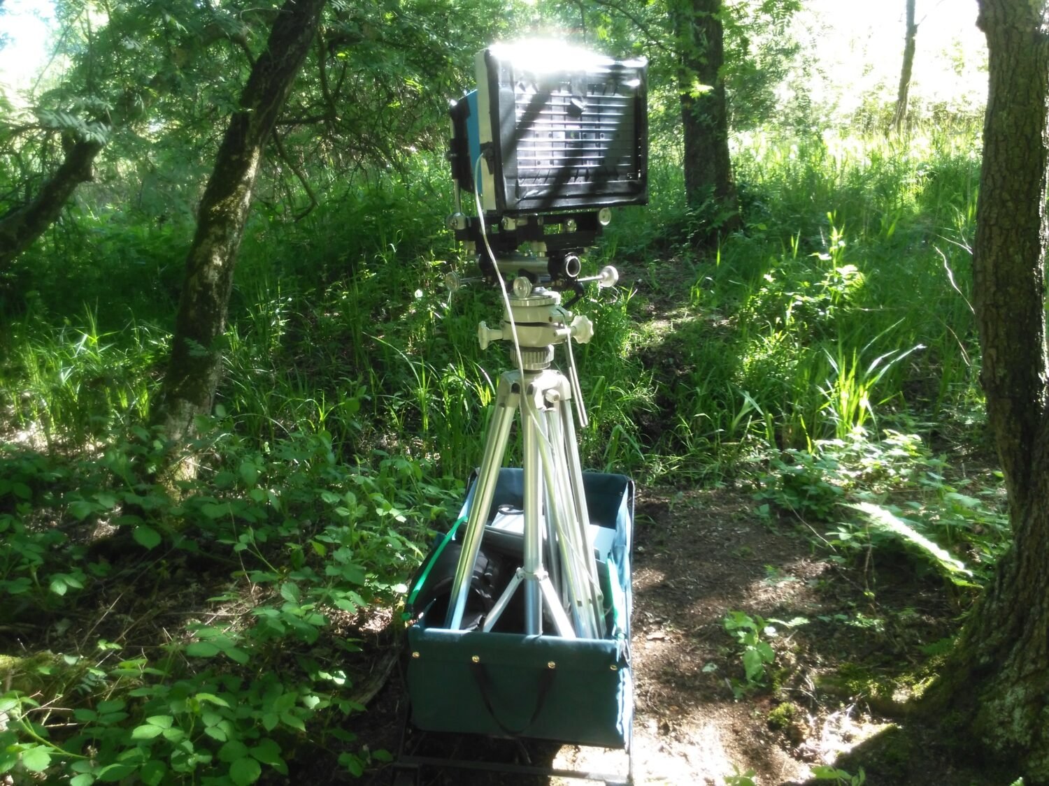 Onderland - Michiel van Bakel - Video Artwork — Smart Forests Atlas