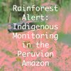 Rainforest Alert icon