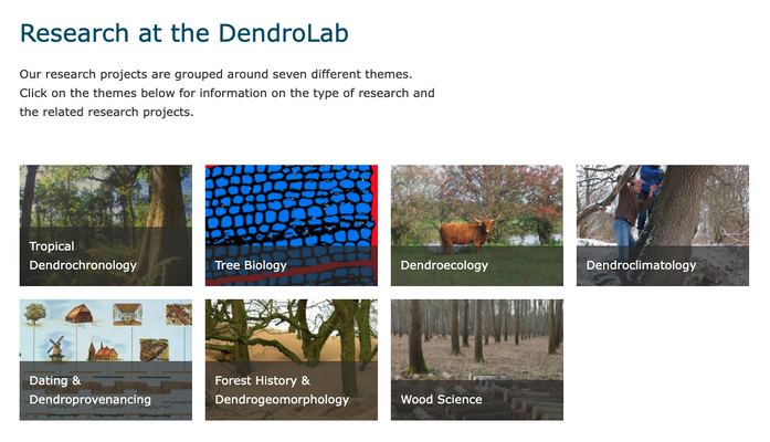 Screenshot of the DendroLab website