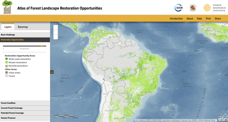 Screenshot of Atlas of Forest Landscape Restoration Opportunities interactive map. Image source: World Resources Institute Atlas of Forest Landscape Restoration Opportunities website. Retrieved 23 June 2022, from https://www.wri.org/applications/maps/flr-