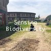 Sensing Biodiversity