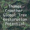 Thomas Crowther icon