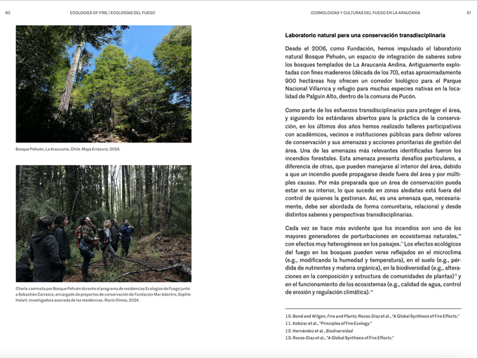 ecologies-of-fire-60-61