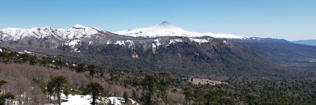 fireecologies_part2.1_ortega_dji_0504