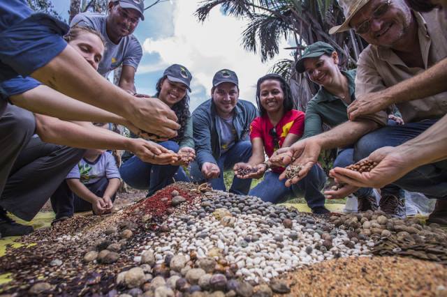 Xingu Seed Network