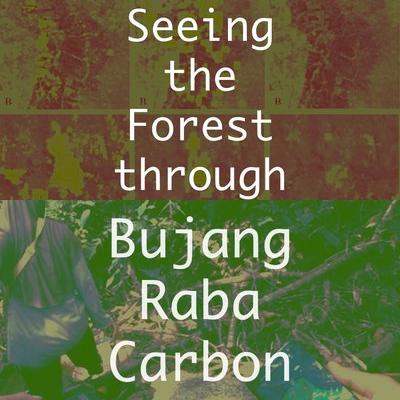 Florestas de carbono