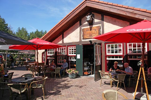 Herberg in het wilde zwijn