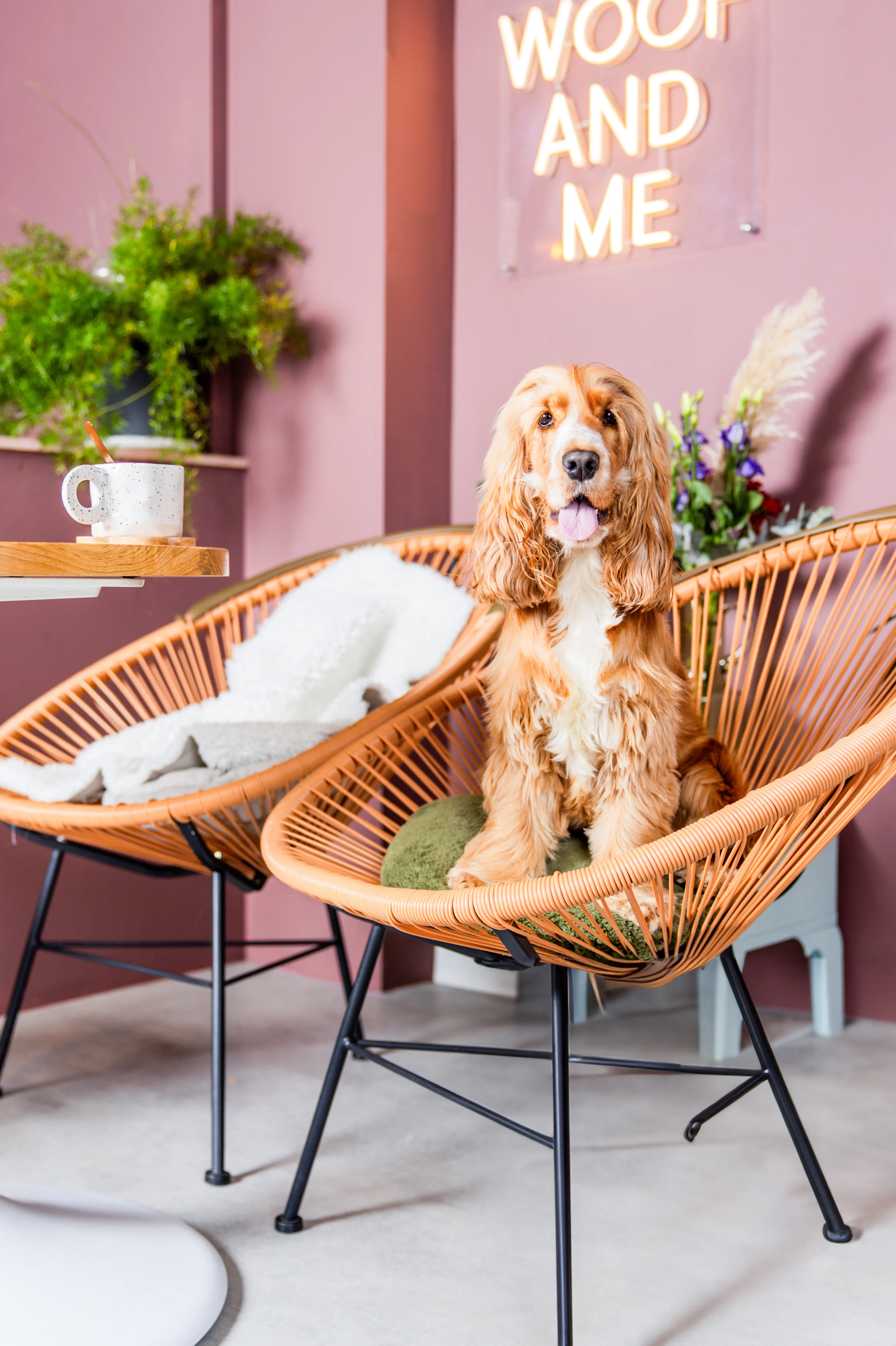 Woof & Me – koffiedate met je hond in Amsterdam