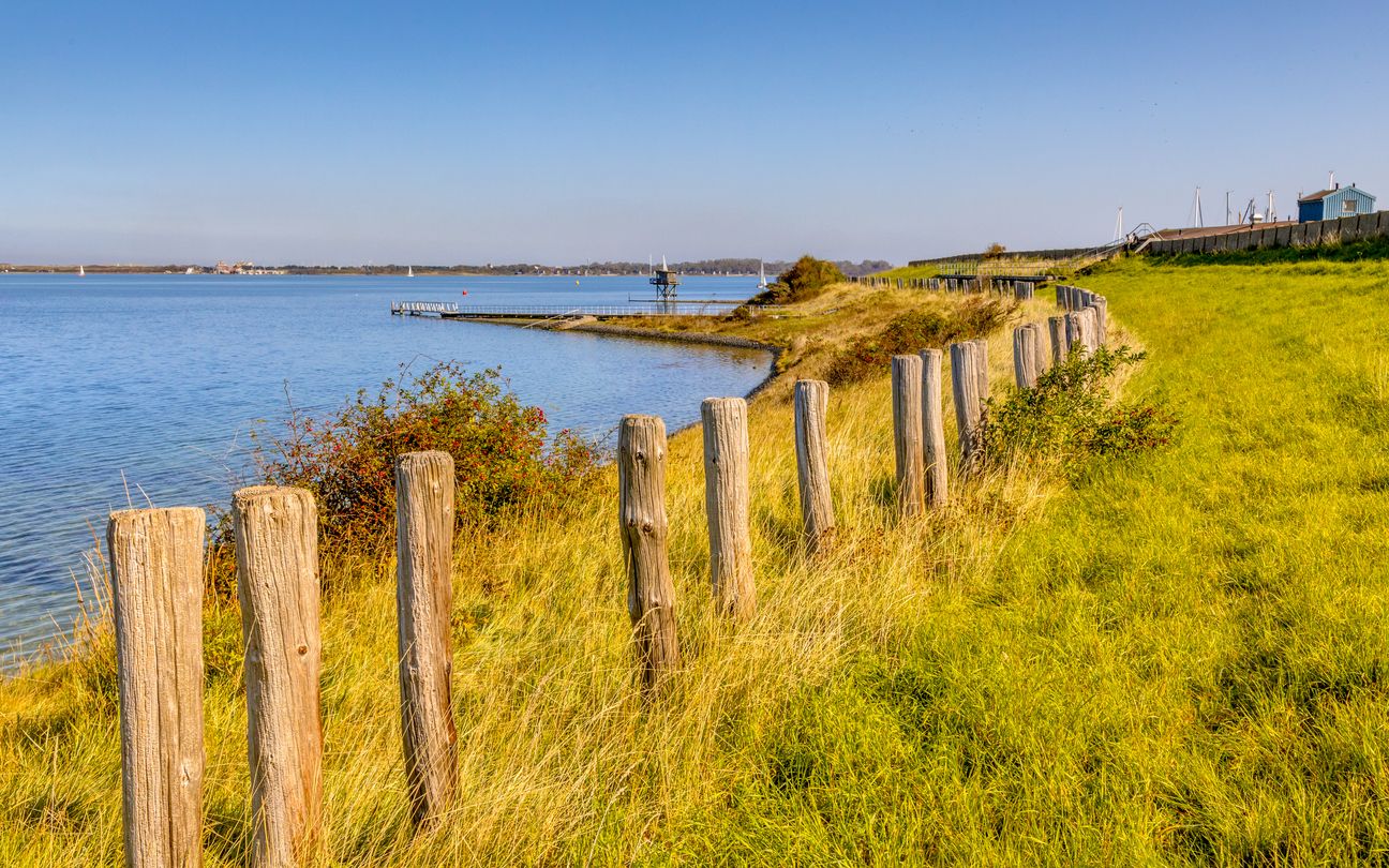 Spelen en zwemmen in hondenlosloopgebied bij de Grevelingendam