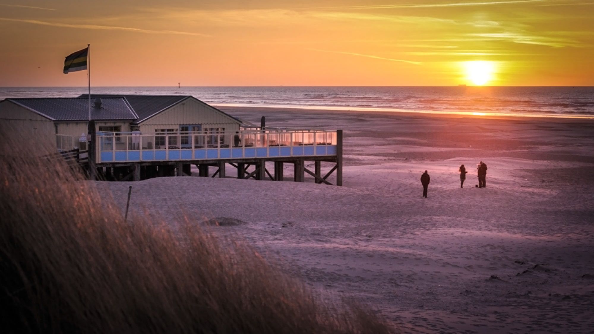 Heartbreak Hotel Terschelling: strandpaviljoen met hondenmenu