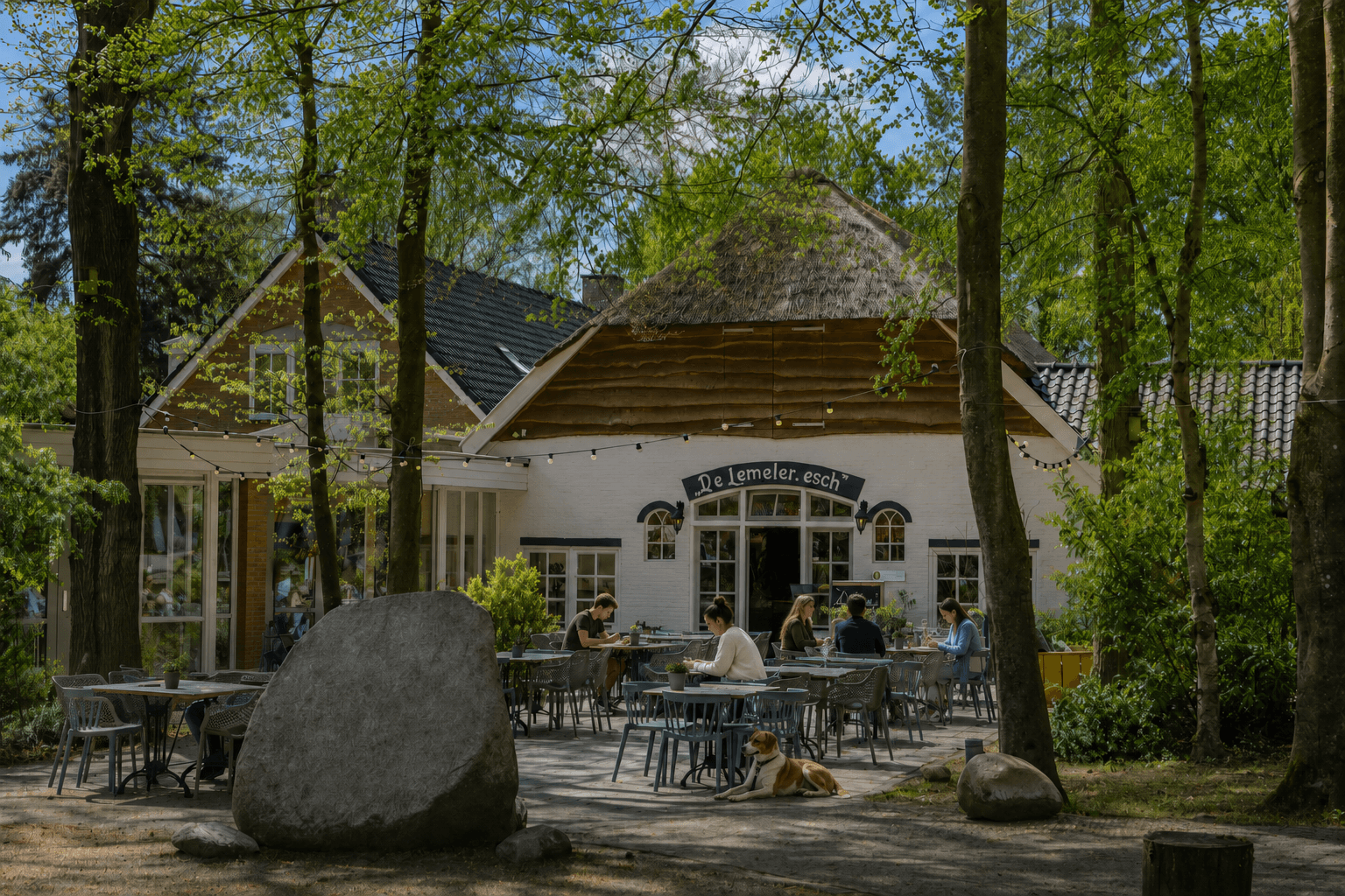 Wandelen en lunchen bij Boscafé Lemeler Esch
