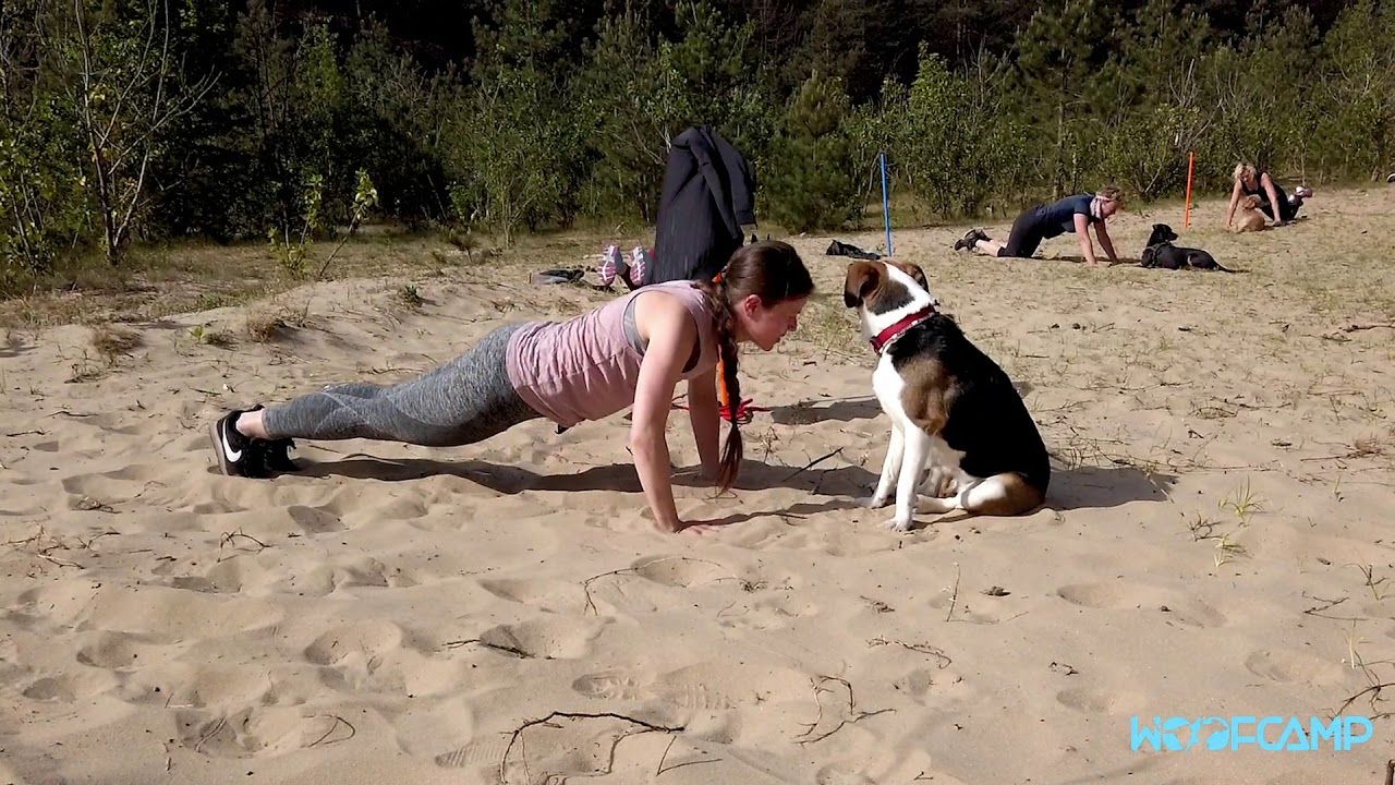Bootcamp voor jou én je hond bij Woofcamp