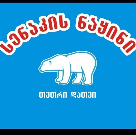 Partner logo 31