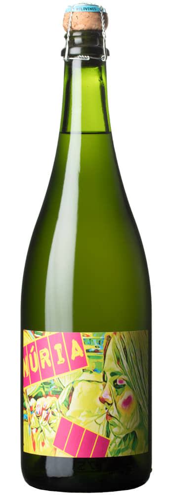 Bottle