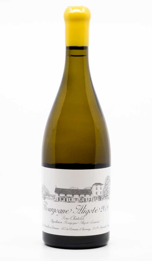 Bottle