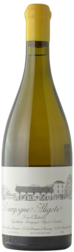 Bottle