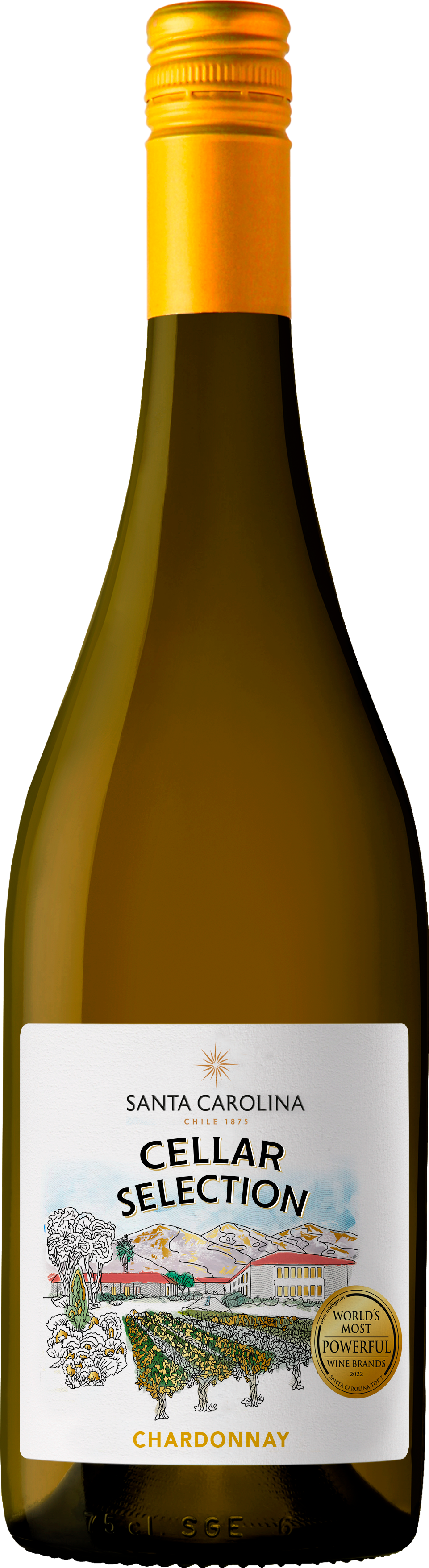 Bottle