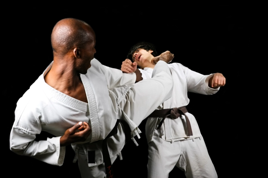 Tüm Zamanların En Ünlü Karate Sporcuları