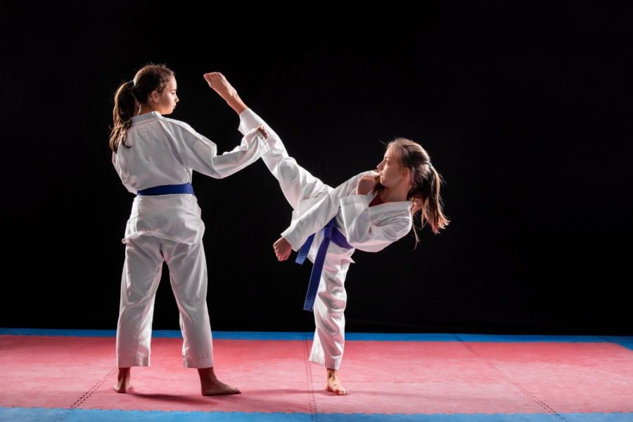 Taekwondo Efsaneleri ve Tüm Zamanların En İyileri