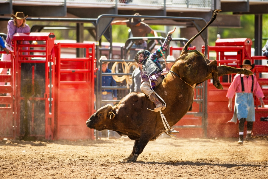 Tüm Zamanların En Büyük Rodeo Turnuvaları - SporAra Blog